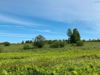 Photo 10: 56 Acre Lot Highway 215 in Kempt Shore: Hants County Vacant Land for sale (Annapolis Valley)  : MLS®# 202213737