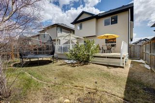 Photo 3: 153 Royal Birch Crescent NW in Calgary: Royal Oak Detached for sale : MLS®# A2128172