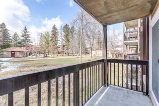 Photo 4: 612 8948 Elbow Drive SW in Calgary: Haysboro Apartment for sale : MLS®# A2127176
