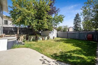 Photo 33: 11312 Coventry Boulevard NE in Calgary: Coventry Hills Detached for sale : MLS®# A2072779