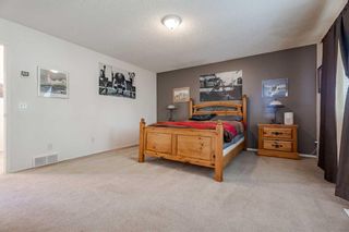 Photo 20: 5360 Copperfield Gate SE in Calgary: Copperfield Detached for sale : MLS®# A2141412