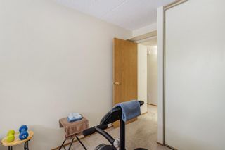 Photo 13: 207 5204 Dalton Drive NW in Calgary: Dalhousie Apartment for sale : MLS®# A2054404