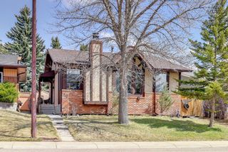 Photo 27: 20 Templemont Drive in Calgary: Temple Detached for sale : MLS®# A1211480