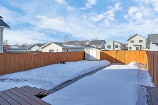 Photo 38: 147 Mt Apex Crescent SE in Calgary: McKenzie Lake Detached for sale : MLS®# A2026054
