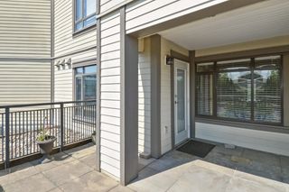 Photo 18: 229 8880 202 Street in Langley: Walnut Grove Condo for sale in "The Residences" : MLS®# R2783616