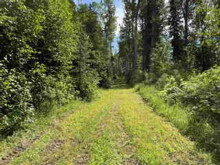 Photo 27: DL 1132 TELKWA HIGH Road in Smithers: Smithers - Rural Land for sale (Smithers And Area)  : MLS®# R2708512