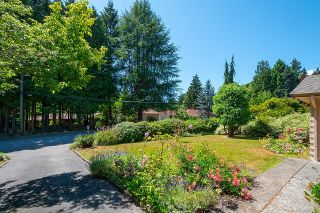 Photo 8: 3218 WAYNE Drive in North Vancouver: Delbrook House for sale : MLS®# R2794215