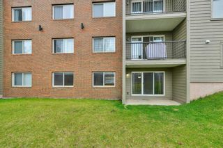 Photo 15: 101 103 Hermary Street: Red Deer Apartment for sale : MLS®# A2130012