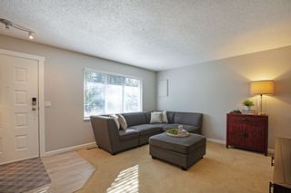 Photo 2: 4480 203 Street in Langley: Langley City House for sale : MLS®# R2652065