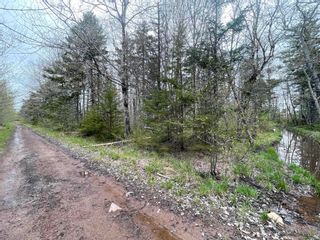 Photo 3: Lot Hamilton Road in Garland: Kings County Vacant Land for sale (Annapolis Valley)  : MLS®# 202210806