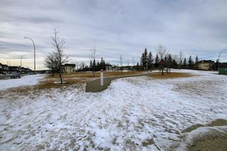 Photo 44: 6 Citadel Estates Heights NW in Calgary: Citadel Detached for sale : MLS®# A1175507