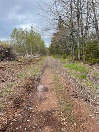 Photo 4: Lot Hamilton Road in Garland: Kings County Vacant Land for sale (Annapolis Valley)  : MLS®# 202210806