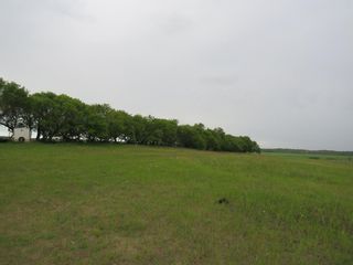 Photo 1: SW 31-43-04 W4 in MD of WAINWRIGHT: Land Only for sale : MLS®# A1152927