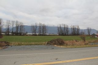 Photo 7: 40580 N PARALLEL Road in Abbotsford: Sumas Prairie Land for sale : MLS®# R2775689