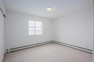 Photo 15: 220 290 Shawville Way SE in Calgary: Shawnessy Apartment for sale : MLS®# A1056416