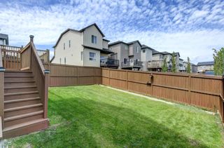 Photo 39: 62 Kincora Glen Rise NW in Calgary: Kincora Detached for sale : MLS®# A1227473