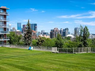 Photo 26: 202 3232 Rideau Place SW in Calgary: Rideau Park Apartment for sale : MLS®# A2085120