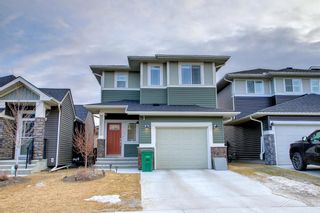 Photo 43: 456 Bayview Way SW: Airdrie Detached for sale : MLS®# A1177678