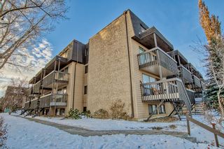 Photo 40: 28 3519 49 Street NW in Calgary: Varsity Apartment for sale : MLS®# A2011852