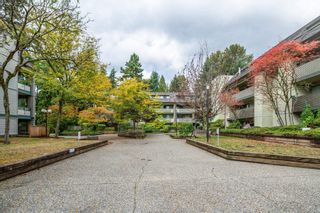 Photo 36: 302 1200 PACIFIC Street in Coquitlam: North Coquitlam Condo for sale in "GLENVIEW MANOR" : MLS®# R2853207