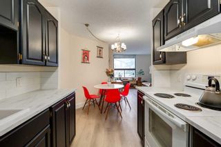 Photo 15: 203 1202 13 Avenue SW in Calgary: Beltline Apartment for sale : MLS®# A2095854