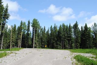 Photo 6: Lot #3 32529 Range Road #52: Rural Mountain View County Residential Land for sale : MLS®# A1255594