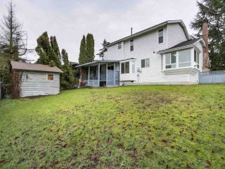 Photo 20: 13863 80A Avenue in Surrey: East Newton House for sale in "NEWTON" : MLS®# R2327669