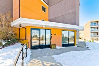 Main Photo: C301 4455 Greenview Drive NE in Calgary: Greenview Apartment for sale : MLS®# A2124848