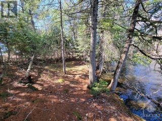 Photo 6: 0000 DONNELLY BAY in White Lake: Vacant Land for sale : MLS®# 1388341
