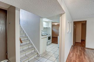 Photo 24: 7131 8 Street NW in Calgary: Huntington Hills Detached for sale : MLS®# A2042850