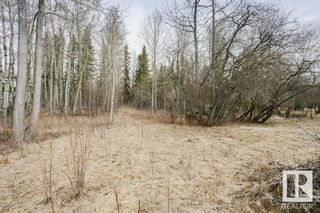 Photo 6: 22 Lakeshore Drive: Rural Wetaskiwin County Vacant Lot/Land for sale : MLS®# E4330516