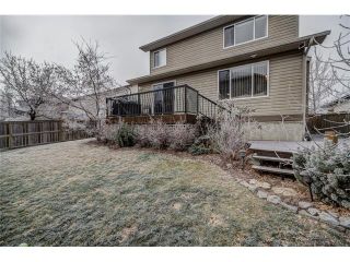 Photo 46: 137 COVE Court: Chestermere House for sale : MLS®# C4090938