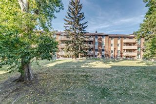 Photo 27: 914 11620 Elbow Drive SW in Calgary: Canyon Meadows Apartment for sale : MLS®# A2003502