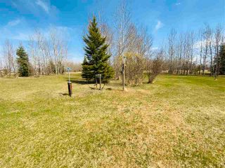 Photo 39: 18 243050 TWP RD 474: Rural Wetaskiwin County House for sale : MLS®# E4273699