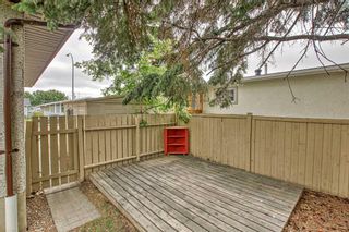 Photo 34: 931 Archwood Road SE in Calgary: Acadia Detached for sale : MLS®# A2059183