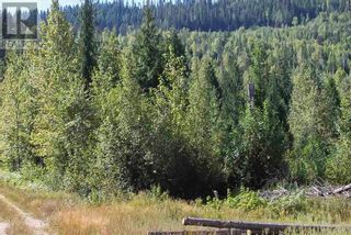 Photo 25: 2524 Enderby Mabel Lake Road in Enderby: Vacant Land for sale : MLS®# 10310628