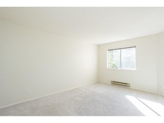 Photo 21: 203 5565 BARKER Avenue in Burnaby: Central Park BS Condo for sale (Burnaby South)  : MLS®# R2615790