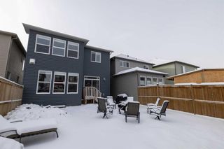 Photo 38: 138 Legacy Landing SE in Calgary: Legacy Detached for sale : MLS®# A1185035