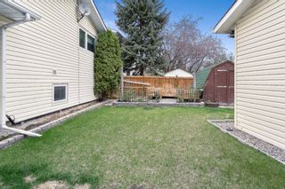Photo 33: 560 Queensland Circle SE in Calgary: Queensland Detached for sale : MLS®# A1220026
