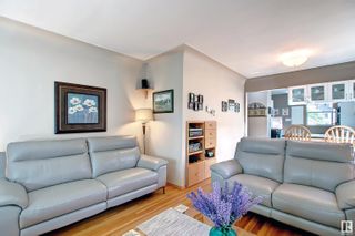 Photo 6: 11115 56 Street in Edmonton: Zone 09 House for sale : MLS®# E4312705