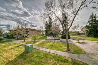 Photo 26: 88E 231 Heritage Drive SE in Calgary: Acadia Apartment for sale : MLS®# A2132710
