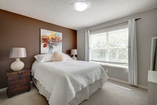 Photo 15: 118 Cranberry Close SE in Calgary: Cranston Detached for sale : MLS®# A2050518