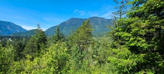 Photo 4: 21523 THACKER MOUNTAIN Road: Hope Land for sale (Hope & Area)  : MLS®# R2697733