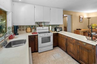 Photo 42: 4037 Holland Ave in Saanich: SW Strawberry Vale House for sale (Saanich West)  : MLS®# 911087