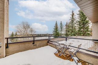 Photo 8: 5 226 Village Terrace SW in Calgary: Patterson Apartment for sale : MLS®# A2033269