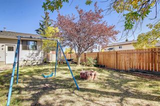 Photo 32: 107 Castlebrook Drive NE in Calgary: Castleridge Detached for sale : MLS®# A2003208