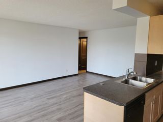Photo 9: 308 635 57 Avenue SW in Calgary: Windsor Park Apartment for sale : MLS®# A1168551