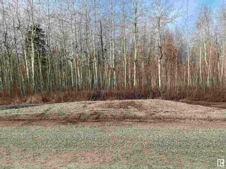 Photo 1: Twp 484 RR 60: Rural Brazeau County Vacant Lot/Land for sale : MLS®# E4373381