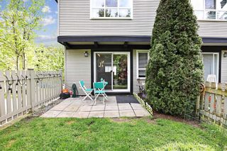 Photo 23: 125 6747 203 Street in Langley: Willoughby Heights Townhouse for sale in "SAGEBROOK" : MLS®# R2711424