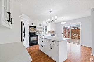 Photo 21: 4039 31 Street NW in Edmonton: Zone 30 House for sale : MLS®# E4384006